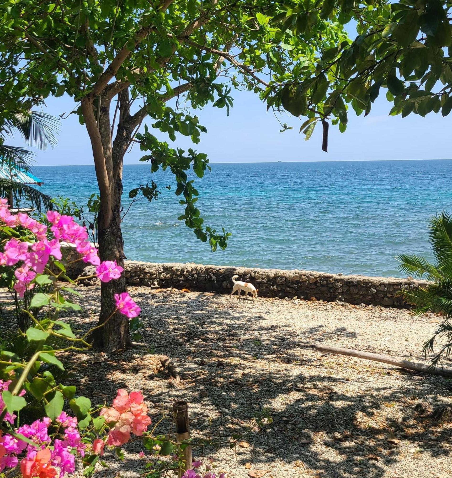 Paseo Del Mar Seaside Inn Jagna Buitenkant foto