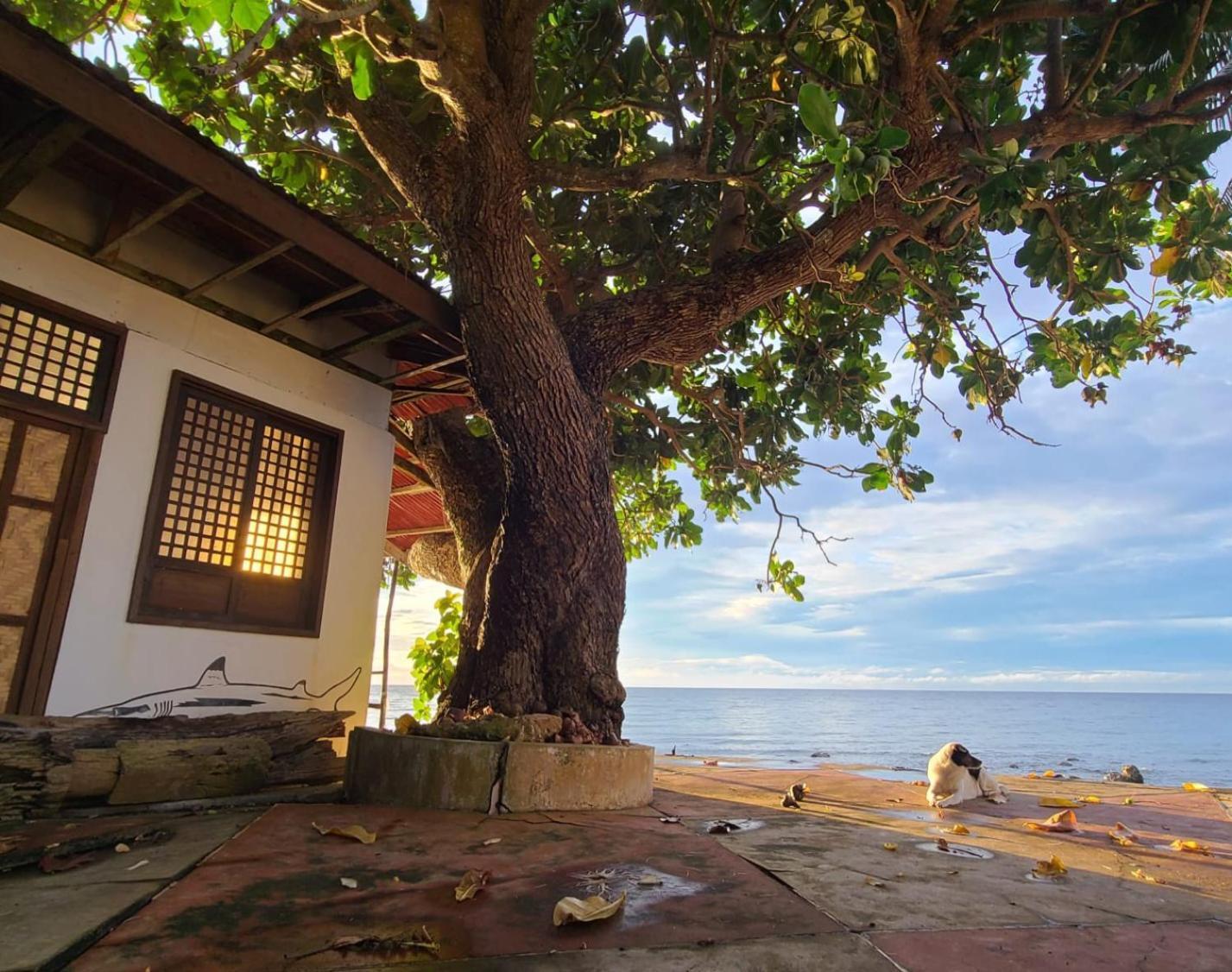Paseo Del Mar Seaside Inn Jagna Buitenkant foto