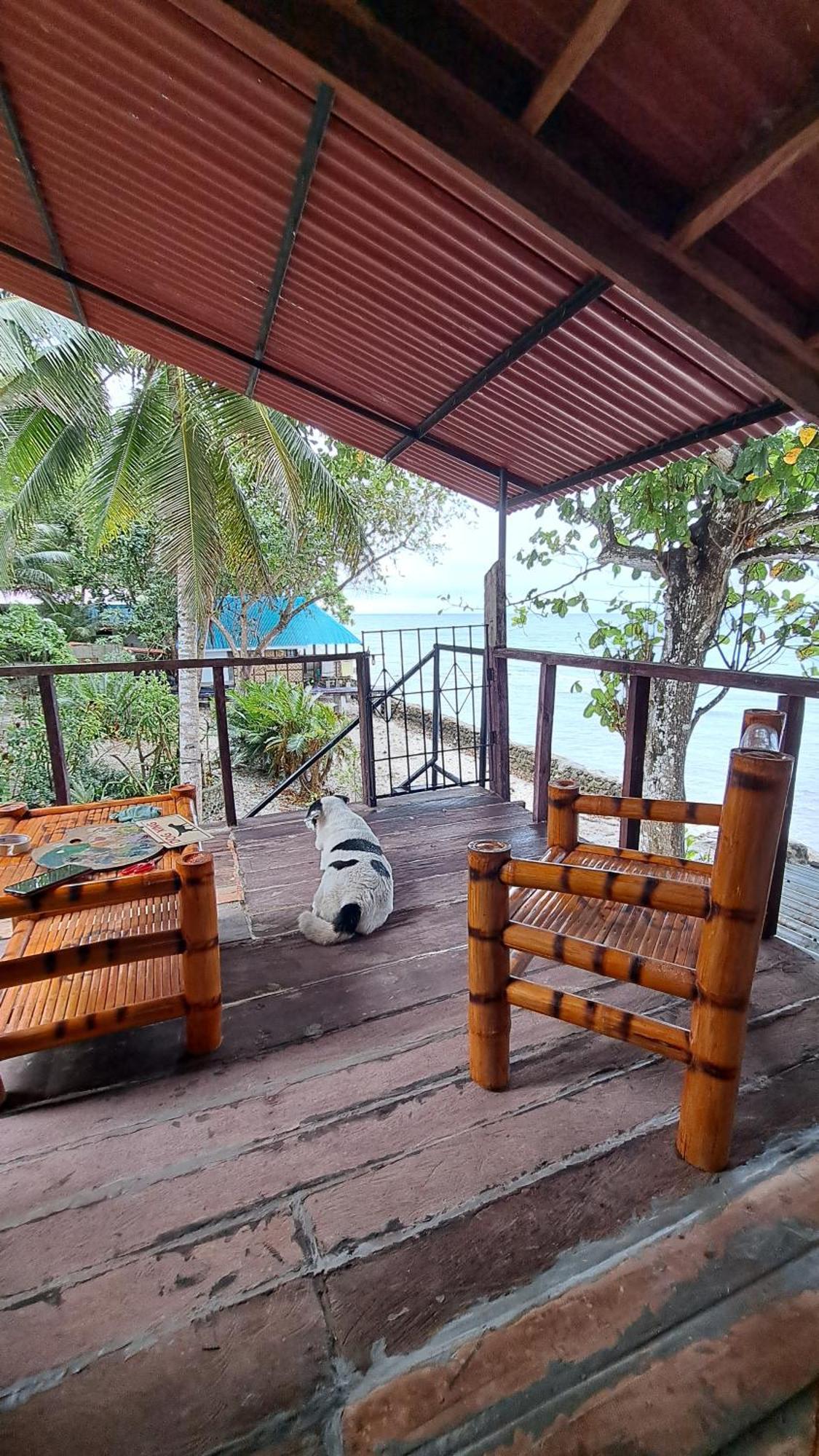 Paseo Del Mar Seaside Inn Jagna Buitenkant foto